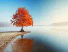 脚​本​精‌灵‍论﻿坛​在‌哪﻿